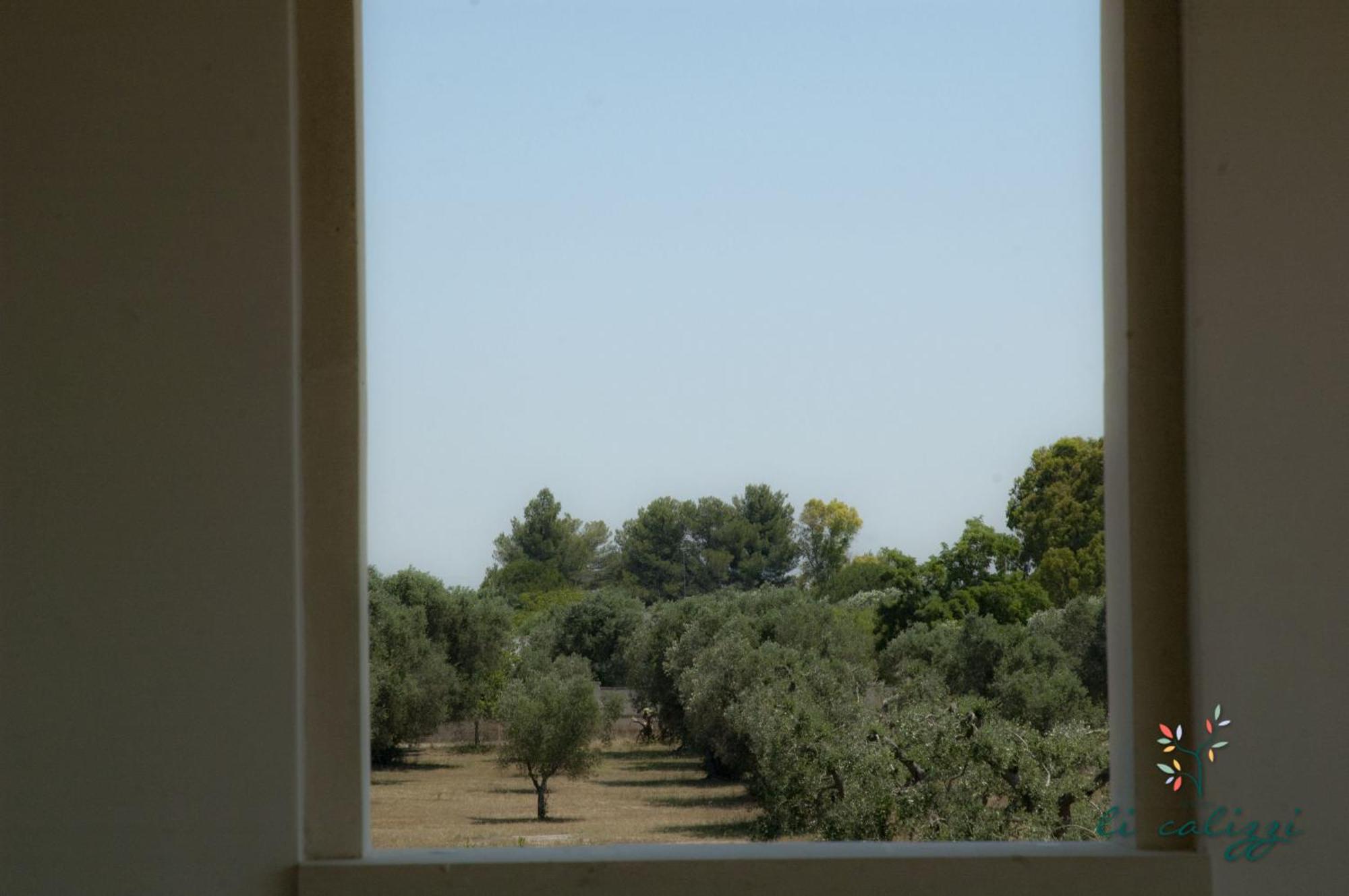 Agriturismo Li Calizzi Arte E Natura Novoli Rum bild