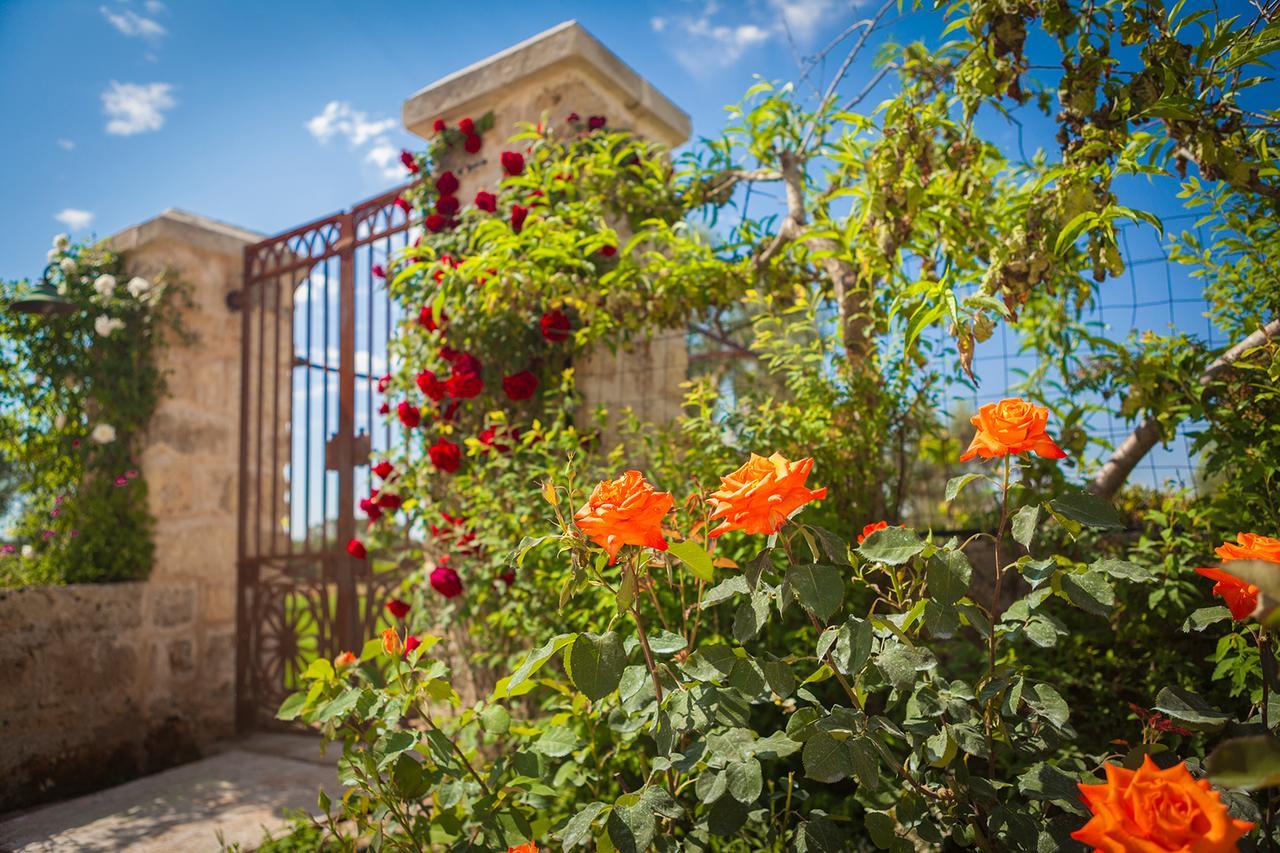 Agriturismo Li Calizzi Arte E Natura Novoli Exteriör bild
